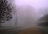 Fog in Biebrich